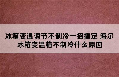 冰箱变温调节不制冷一招搞定 海尔冰箱变温箱不制冷什么原因